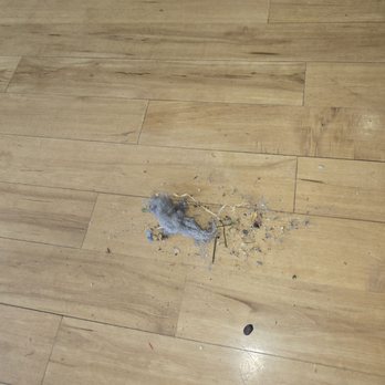 Ready Maid Cleaners - The massive dust bunny under the fridge that came right out as I swept under it. Not sure how that didn't come out if they swept anything. - Home Cleaning Near Me Ready Maid Cleaners - The massive dust bunny under the fridge that came right out as I swept under it. Not sure how that didn't come out if they swept anything. - Home Cleaning Near Me