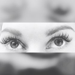 Eye Candy Lashes - Classic Lashes .20 14mm