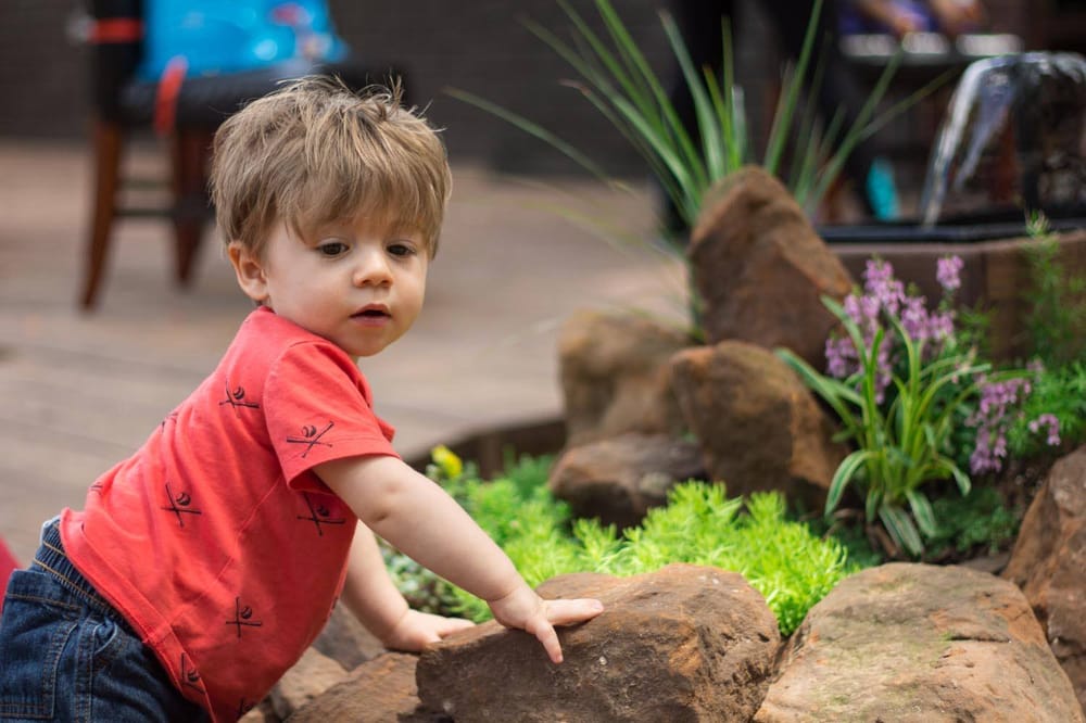Cheery Tots Child Care - childcare center in Arlington, TX