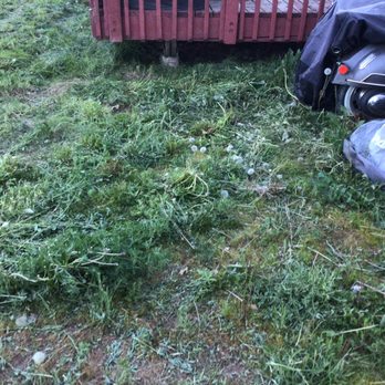 Legend Lawn Care - Paid for weed whacking, and mowing, they didn't do it - Lawn Services Near Me Legend Lawn Care - Paid for weed whacking, and mowing, they didn't do it - Lawn Services Near Me