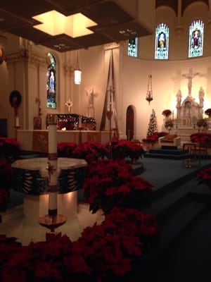 Cathedral of Our Lady of Lourdes by null