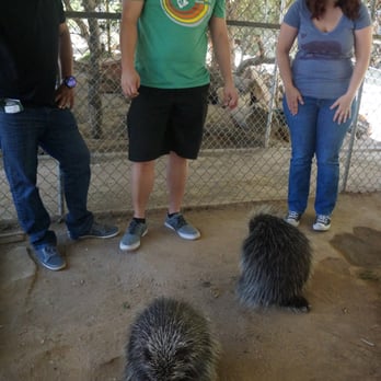 Wildlife Learning Center - Zoos Near Me - Sylmar, California Wildlife Learning Center - Zoos Near Me - Sylmar, California