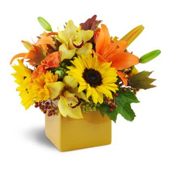 Tallevast Florist - Floral Designers Near Me - Sarasota, Florida Tallevast Florist - Floral Designers Near Me - Sarasota, Florida