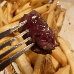 Cook's Truck Center Restaurant - Rare ribye steak and fries