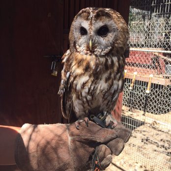 Wildlife Learning Center - Zoos Near Me - Sylmar, California