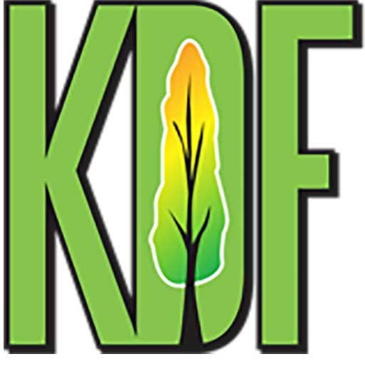KDF Tree and Landscape - tree service in Torrington, CT