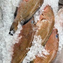 Naples Fish Market Plus