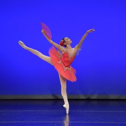 The Academy Of Dance Arts - Join our Ballet Conservatory for performance opportunities @ Youth American Grand Prix (YAGP), WBAC, Universal Ballet Competition
