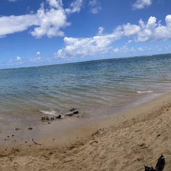 Hanalei Surf Company - Anini Beach, we were here in June. Saw 7+ sea turtles while snorkeling. - Surfing Near Me - Hanalei, Hawaii Hanalei Surf Company - Anini Beach, we were here in June. Saw 7+ sea turtles while snorkeling. - Surfing Near Me - Hanalei, Hawaii