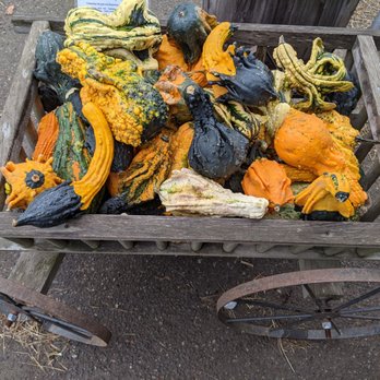 Ort Farms - a cart full of squash and gourds - Fruits & Veggies Near Me - Long Valley, New Jersey Ort Farms - a cart full of squash and gourds - Fruits & Veggies Near Me - Long Valley, New Jersey