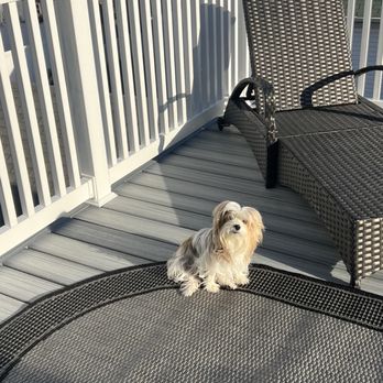Island Gutter & Home Improvement - This was my deck also done - Gutter Services Near Me - Staten Island, New York Island Gutter & Home Improvement - This was my deck also done - Gutter Services Near Me - Staten Island, New York