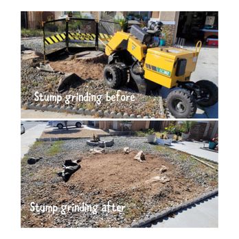 Power Tree Service - Stump Grinding - Tree Services Near Me Power Tree Service - Stump Grinding - Tree Services Near Me