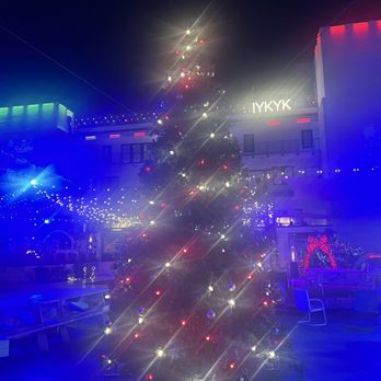 Austin Garden & Studio - Christmas vibes - Bars Near Me - Austin, Texas