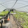 Photo of Trinity River Farm