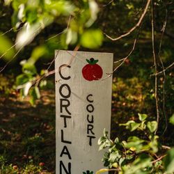 Applestock Orchard - Apple farm
