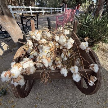 The Windmill Winery - Cotton - Venues & Event Spaces Near Me - Florence, Arizona