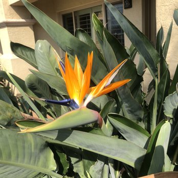 Best Western Plus Island Palms Hotel & Marina - San Diego, CA