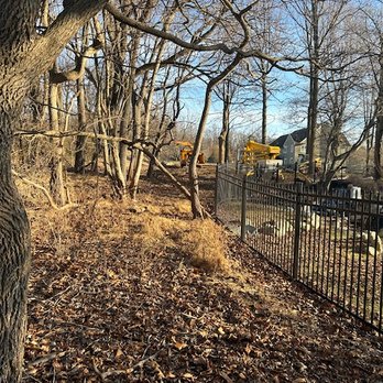 Cox & Company Inc Tree and Landscape Services - Before picture - trees up against the pool fence. - Landscaping Near Me - Penn Valley, Pennsylvania