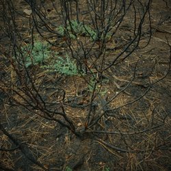 American Red Cross - Aftermath of the Butler 2 fire - across from my house. This is after 10 days of being in a shelter.