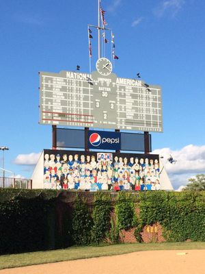 Little Cubs Field by null