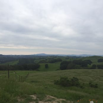 Briones Regional Park - Parks Near Me - Martinez, California Briones Regional Park - Parks Near Me - Martinez, California