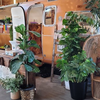 Mac Market - All natural products and plants! - Coffee & Tea Near Me - McMinnville, Oregon Mac Market - All natural products and plants! - Coffee & Tea Near Me - McMinnville, Oregon