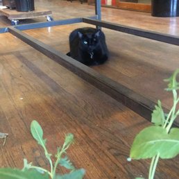 Rose house's beautiful guard!