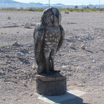 St. Rose Parkway Trail - A burrowing owl. - Hiking Near Me - Henderson, Nevada St. Rose Parkway Trail - A burrowing owl. - Hiking Near Me - Henderson, Nevada