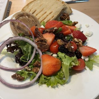 Half Day Cafe - Arugula salad - Bakeries Near Me - Rochester Hills, Michigan Half Day Cafe - Arugula salad - Bakeries Near Me - Rochester Hills, Michigan