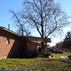 T & D Professional Tree Removal - Before