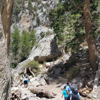Fletcher Canyon - Hiking Near Me - Las Vegas, Nevada Fletcher Canyon - Hiking Near Me - Las Vegas, Nevada