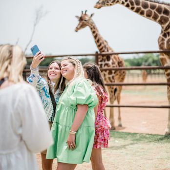 Absolute Charm Wine Tours - Safari Tour Experience - Wine Tours Near Me - Fredericksburg, Texas Absolute Charm Wine Tours - Safari Tour Experience - Wine Tours Near Me - Fredericksburg, Texas