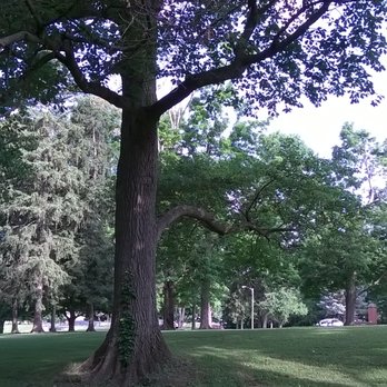 Milligan Park - large trees - Playgrounds Near Me - Crawfordsville, Indiana