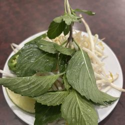 Pho Saigon Vietnamese Restaurant - Pho garnish