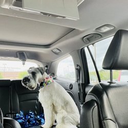 Houston's Fuzzy Tails Grooming Salon