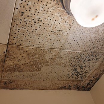 SunCliff on the Lake - Mold on ceiling in Annex room - Hotels Near Me - Derby, New York SunCliff on the Lake - Mold on ceiling in Annex room - Hotels Near Me - Derby, New York