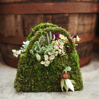 Roots on 9th - Florists Near Me - Green Bay, Wisconsin Roots on 9th - Florists Near Me - Green Bay, Wisconsin