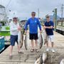 Photo of Wet N Wild Sportfishing Charters
