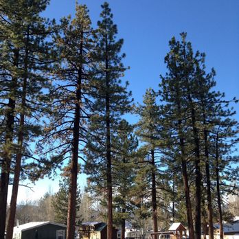 Lakewood Cabins - Vacation Rentals Near Me - Big Bear Lake, California