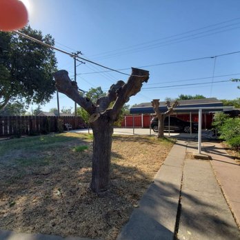 Prado's Landscape & Tree’s - Job finished. Happy with the results. - Landscaping Near Me Prado's Landscape & Tree’s - Job finished. Happy with the results. - Landscaping Near Me