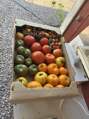 Well Rooted Farms by null