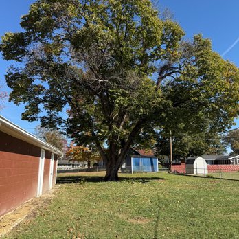 Mike’s Tree Service - Tree Services Near Me Mike’s Tree Service - Tree Services Near Me