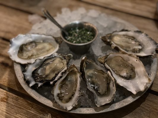 Hog Island Larkspur by null