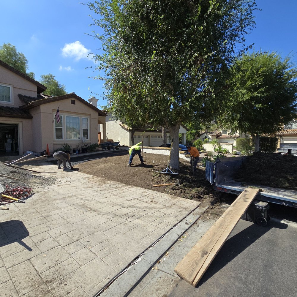 US Turf - They did different tasks several times over, ensuring things were not missed, rocks were not left in the dirt, and so forth. - Artificial Turf Near Me - San Diego, California US Turf - They did different tasks several times over, ensuring things were not missed, rocks were not left in the dirt, and so forth. - Artificial Turf Near Me - San Diego, California