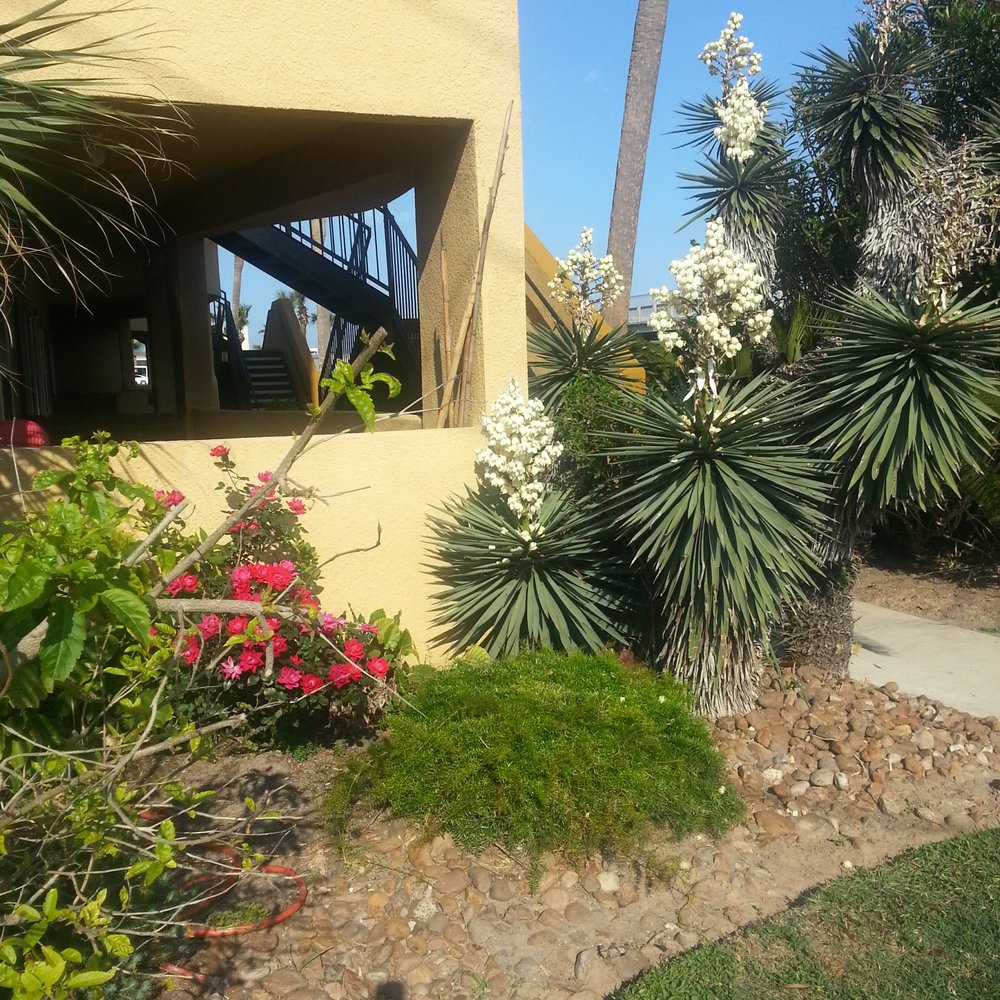 Seaside Village - Landscaping - Apartments Near Me - Galveston, Texas Seaside Village - Landscaping - Apartments Near Me - Galveston, Texas
