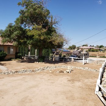 Desert Heat Yard Clean Up - Front after - Tree Services Near Me Desert Heat Yard Clean Up - Front after - Tree Services Near Me
