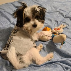 Carter County Animal Hospital