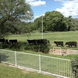 Lazy 5S Cattle - Ranch