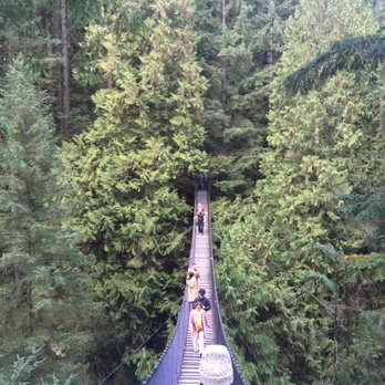 Lynn Canyon Park - Parks Near Me - North Vancouver, British Columbia