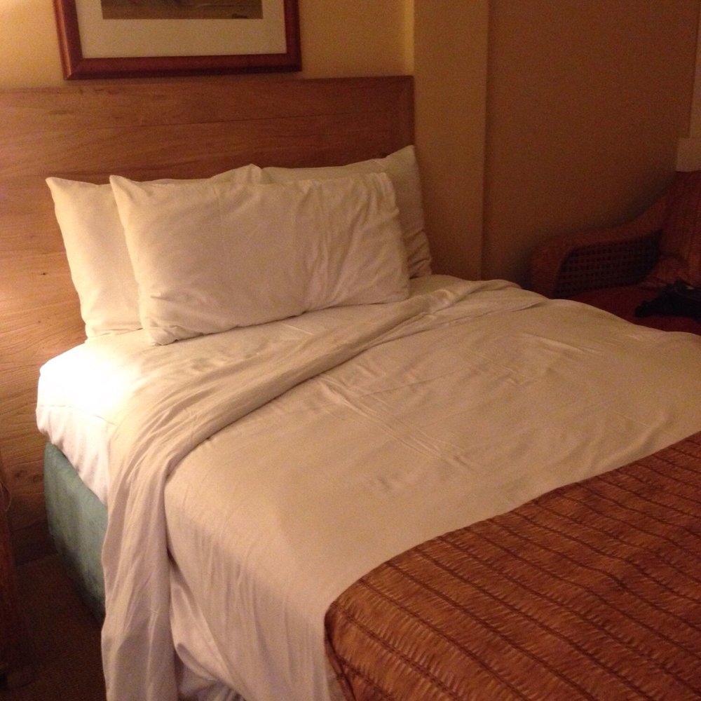 The Equus - Half-made bed when I came back from my conference this evening. Very disappointing housekeeping. - Hotels Near Me - Honolulu, Hawaii The Equus - Half-made bed when I came back from my conference this evening. Very disappointing housekeeping. - Hotels Near Me - Honolulu, Hawaii